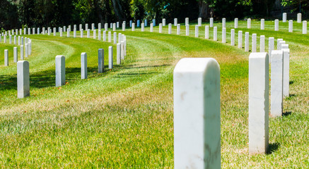 Naklejka premium curved rows of gravestones in military cemetery