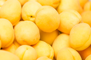 Fototapeta na wymiar Fresh natural apricots as background. Selective focus
