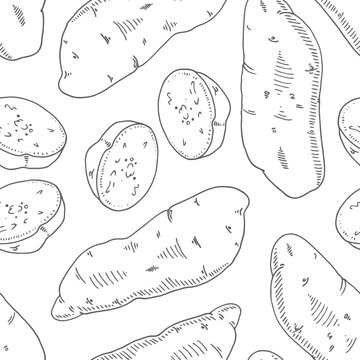 Hand drawn seamless pattern with sweet potato. Monochrome background in sketch style