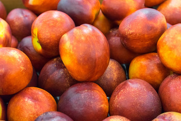 bright nectarines in the market