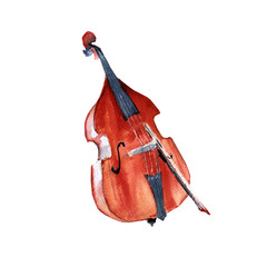 Musical instruments. Double bass. Isolated on white background.  © luchioly