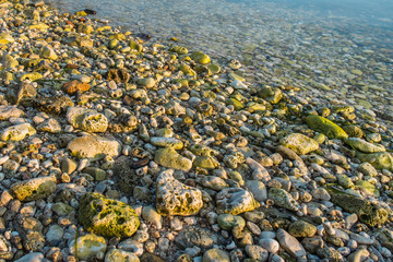 Verschiedene Kieselsteine morgens bei Sonnenaufgang am Meer