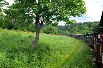 Narrow gauge railway Bieszczady forest track and attractions