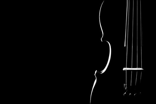 Violin closeup silhouette isolated