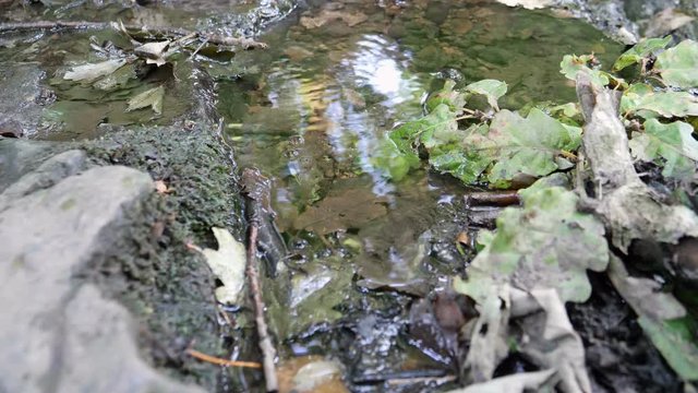 Water running on stone, babbling brook
