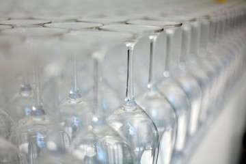 Wine glasses on a bench