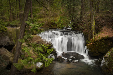 Whatcom Falls. Whatcom Falls in Bellingham, Washington, where a cascading waterfall is its...