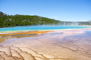Steam Colors