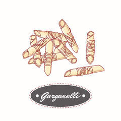 Hand drawn pasta garganelli isolated on white. Element for restaurant or food package design