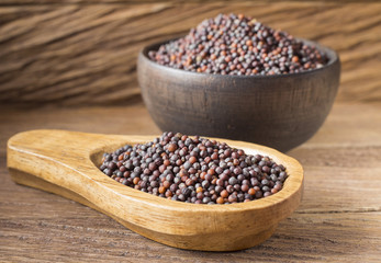 Black Mustard Seeds - Brassica nigra