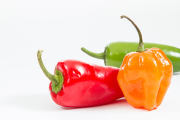 Chili, habanero and jalapeno peppers.
