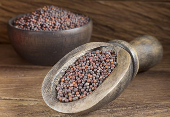Black Mustard Seeds - Brassica nigra