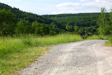 Fototapeta na wymiar Hiking path on a sunny day