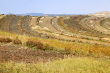 The terraced fields in autumn