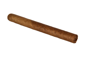 Cigar on a white background