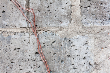 Wall dilapidated detail, old material
