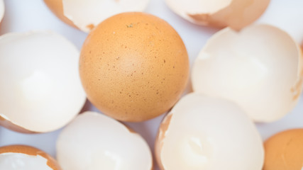 egg shell on white background blur focus