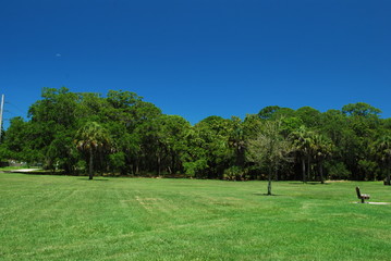 Green lawn with trees in the background under a sunny blue sky