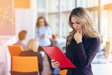 Team work discussing. Young woman with paper folder.