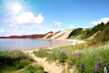 Beautiful Sandy Beach