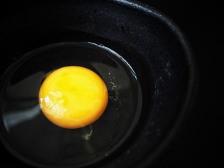 Egg in a bowl on black background