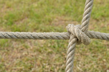 Rope knot line tied together with nature background,as a symbol for trust, teamwork or collaboration. 