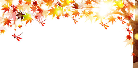 279 640 Leaf Landscape Maple Wall Murals Canvas Prints Stickers Wallsheaven 279 640 Leaf Landscape Maple Wall Murals Canvas Prints Stickers Wallsheaven