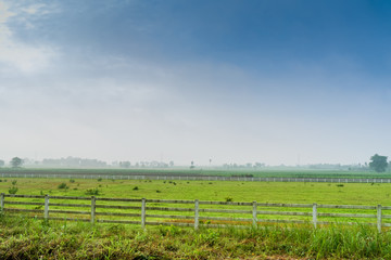 Fototapeta na wymiar White fence in farm field