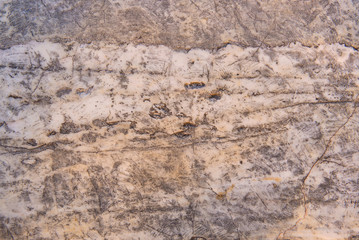 marble texture detailed structure of stone for background and design
