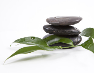 zen stones and leaves with water drops, isolated. spa background