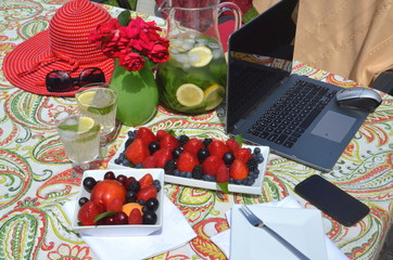 Freelancing and work from home garden in the summer