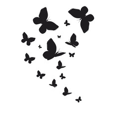 Fototapeta premium 1952