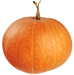 Ripe pumpkin isolated