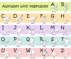 Alphabet for kids with vegetables. English ABC. Cute modern template