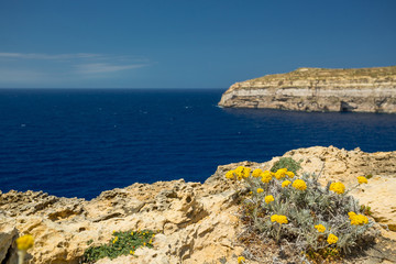 Fototapety  Malta shoreline cliffs