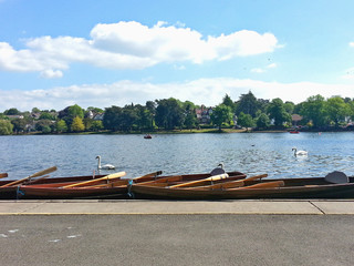 Obraz premium Tethered boats and few swans on the lake in Roath Park, Cardiff, UK. Tourism attraction.