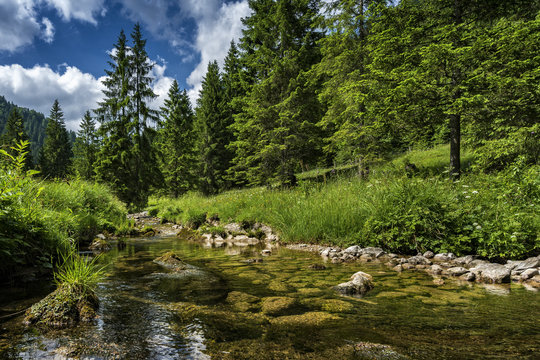 kleiner Bach