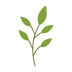 stem with leaves icon