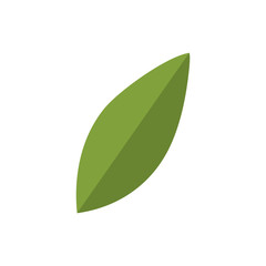 leaf icon image