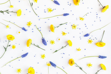 Flowers composition. Pattern made of muscari and chrysanthemum flowers on white background. Flat lay, top view