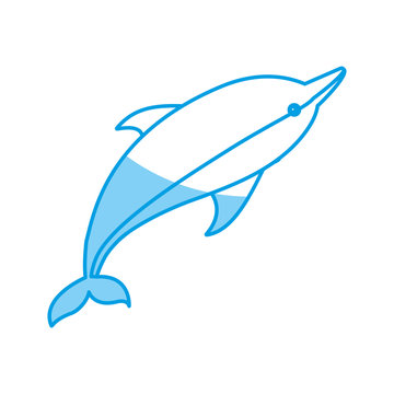 dolphin icon image
