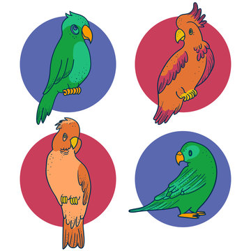 Summer Cartoon Illustration Parrots and Cockatoo