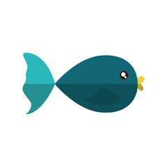 fish icon over white background colorful design vector illustration
