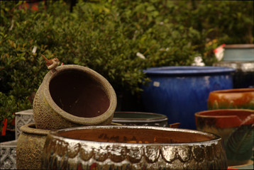 Naklejka premium Bird with the pots