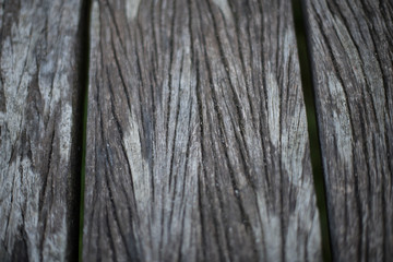 Obraz premium Rustic wood texture background