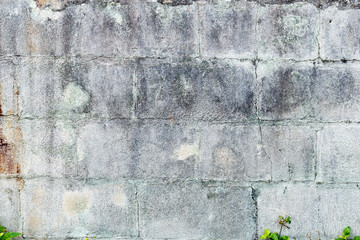 Okinawa Cement Texture