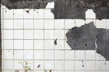 Okinawa Cement Texture Tile