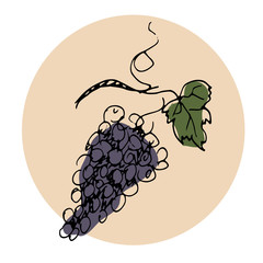 Vector Hand Drawn Illustration. Bunch of red grapes. Paris Theme. Sketch.