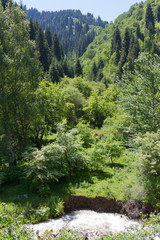 Mountain gorge with a river