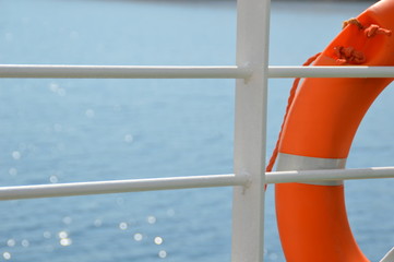 Life vest